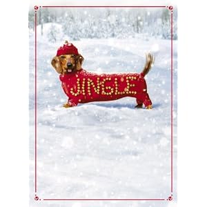 Jingle Dog Dachshund Christmas Cards