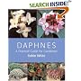 Daphnes: A Practical Guide for Gardeners