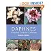 Daphnes: A Practical Guide for Gardeners