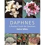 Daphnes: A Practical Guide for Gardeners