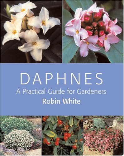 Daphnes: A Practical Guide for Gardeners under Plants in The Books Store