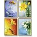Schipper 609340529 - Malen-nach-Zahlen - Blumen im Licht