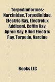 Torpediniformes: Narcinidae, Torpedinidae, Electric Ray, Electrolux Addisoni, Coffin Ray, Apron Ray, Blind Electric Ray, Torpedo, Narci Electrolux