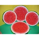 WATERMELON 3-D Big Ceramic Stove Burner Covers Watermelons NEW