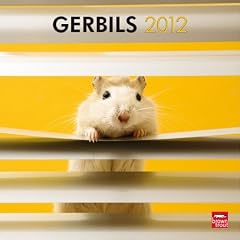 Gerbils 2012