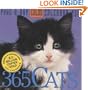 365 Cats Page-A-Day Calendar 2009 (Color Page-A-Day(r) Calendars)