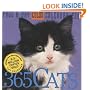 365 Cats Page-A-Day Calendar 2009 (Color Page-A-Day(r) Calendars)
