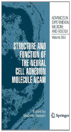 Structure and Function of the Neural Cell Adhesion Molecule NCAM: 663 (Advances in Experimental Medicine and Biology)