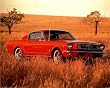 1965 Red Ford Mustang Fastback Print POSTER muscle car - 13x19
