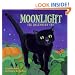 Moonlight: The Halloween Cat
