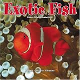 Exotic Fish 2008 Wall Calendar