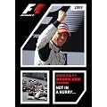 2009 FIA F1世界選手権総集編 完全日本語版 [DVD]
