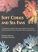 Soft Corals and Sea Fans