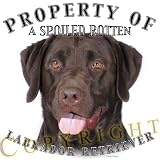 Chocolate Labrador Retriever Mousepad Dog Mouse Pad Property Of