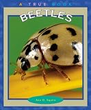Beetles (True Books)