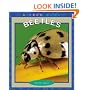 Beetles (True Books)