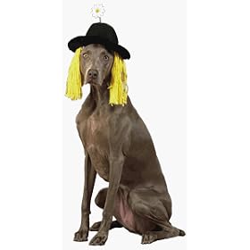 Hair and Hat Halloween Dog Costume