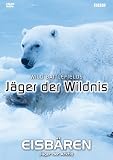 J�ger der Wildnis - Eisb�ren: J�ger der Arktis - 