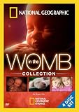 In the Womb Collection (Four-Disc)