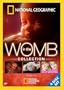 In the Womb Collection (Four-Disc)