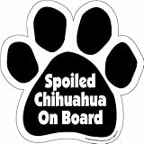 Imagine This Paw Car Magnet, Spoiled Chihuahua on Board, 5-1/2-Inch by 5-1/2-Inch