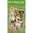 Circle of Friends: It's a Dog's Life