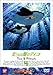 ̊C̃eBR(4) [DVD]