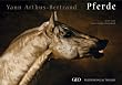 Pferde
