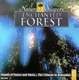 Nature Whispers: Enchanted Forest
