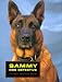 Search : Sammy, Dog Detective