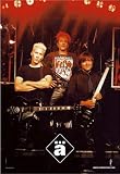 Die Ärzte - Band (32469) Poster (91 x 61cm)