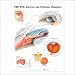 The Eye Anterior and Posterior Chambers Anatomical Chart 20 X 26