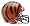 Cincinnati Bengals