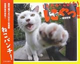 したたか こびたり にゃっ! 画像