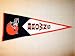 Cleveland Browns NFL Classic Football Pennant