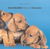Dachshunds: Lightweights--Littermates