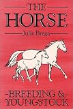 Horse-Breeding & Youngstock