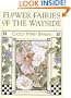 Flower Fairies of the Wayside