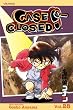 Case Closed, Vol. 28