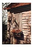 IMAGE OF Tree Spirit HIGH QUALITY CANVAS Print With Light Added BRUSHSTROKES William Bradford Green 24x34