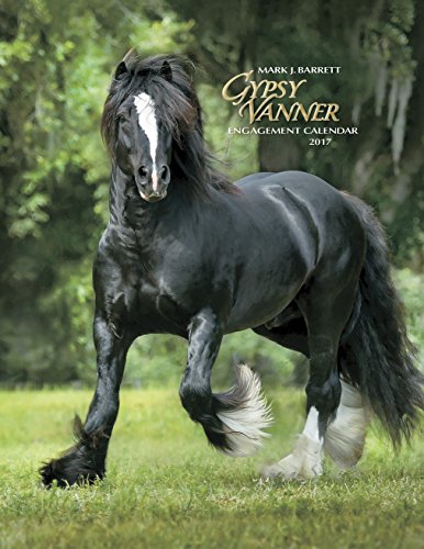 Gypsy Vanner Horse 2017 Engagement Calendar
