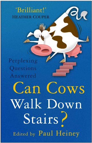 can cows walk down stairs perplexing questions answered