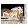 Stable Pals PBN