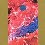 Synaesthesia