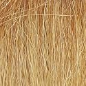 Field Grass, Harvest Gold