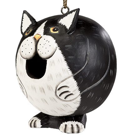 Albesia Wood Fat Cat Birdhouse