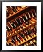 Cowboy Boots at El Paso Shop, Boston, Massachusetts, USA Costume & Fashion Framed Art Poster Print by Angus Oborn, 25x31