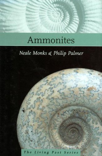Ammonites Picture