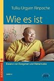 Wie es ist - Band 2
