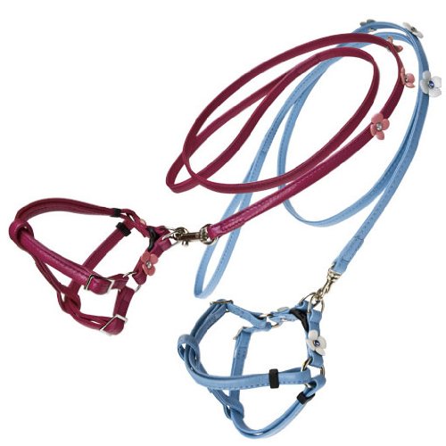フローリアセパレートハーネス＆リード レッド birdie バーディ 犬猫用